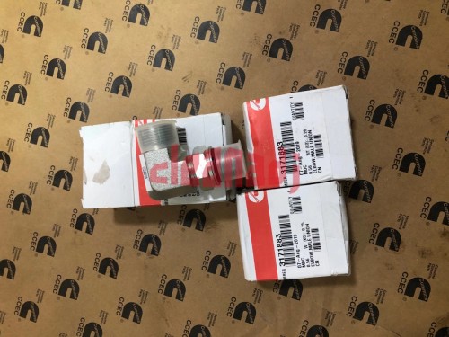3171883 ELBOW MALE UNION