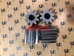 K19 Lubricating Oil Pump Gear 3049543