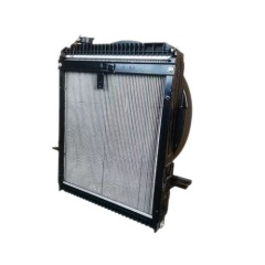 FOTON Aoling FL01300000220A1448