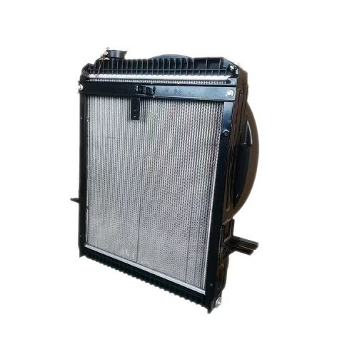 FOTON Aoling FL01300000220A1448