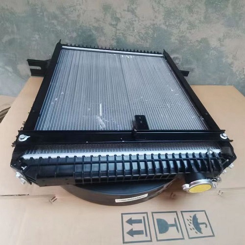 FOTON Aoling FL01300000220A1448