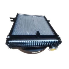 FOTON Aoling FL01300000220A1448