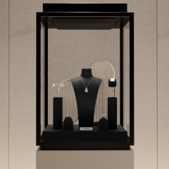 FANXI TT212 Brand New Product present bijoux professionnel jewelry display set jewellery display set