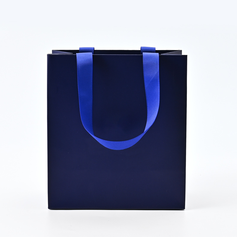 Custom Jewelry Paper Gift Bag for Gift Packing Jewelry Packaging Paper Bag