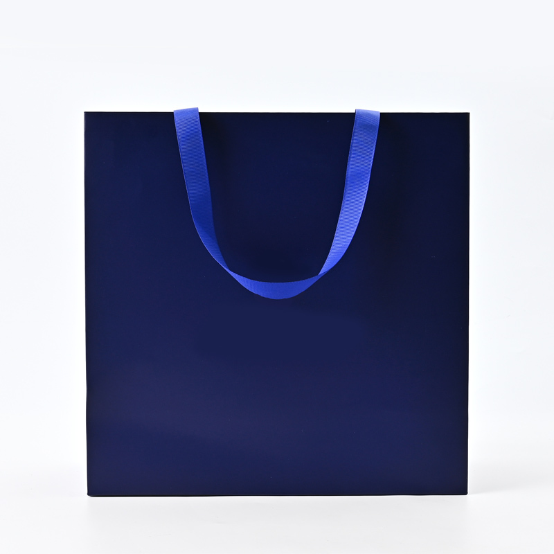 Custom Jewelry Paper Gift Bag for Gift Packing Jewelry Packaging Paper Bag