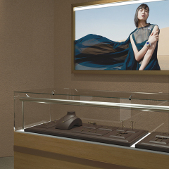 FANXI High end jewelry display stand with custom color
