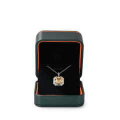 FANXI jewelry boxes packaging luxury jewelry necklace boxes jewelry packaging gift box