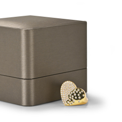 Fanxi China 2021 Wholesale Luxury Golden Leatherette Jewelry Boxes Packaging Leather Plastic Jewellery Box With Special Design