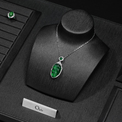 FANXI New Model Jewelry Display Sets With Black Pu Leather For Ring Earring Window Display Sets