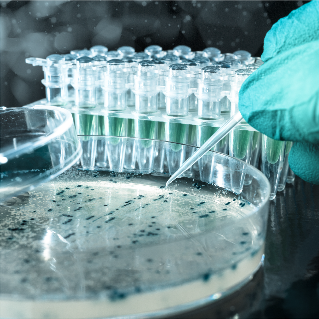 Pay attention to storage of chemical reagents