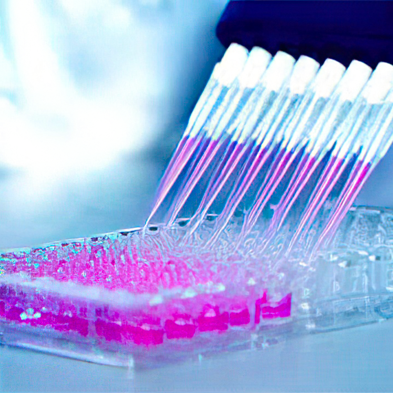 Selection and optimization of antibody dilution of Abcam