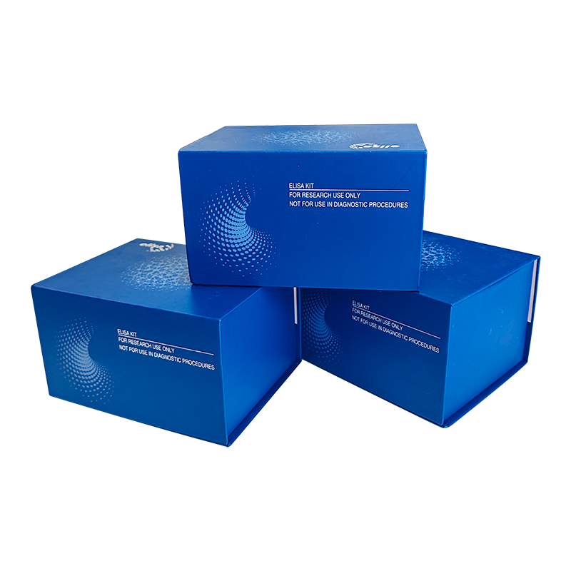 Human Murine Rat Bmp-2 Standard Tmb Elisa Development Kit