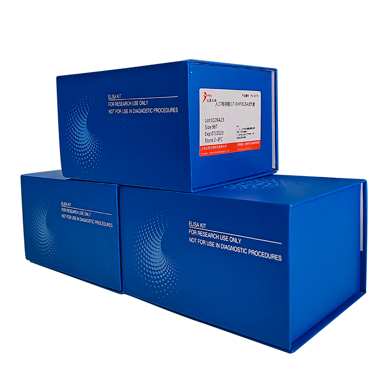 Murine IL-2 Standard TMB ELISA Development Kit