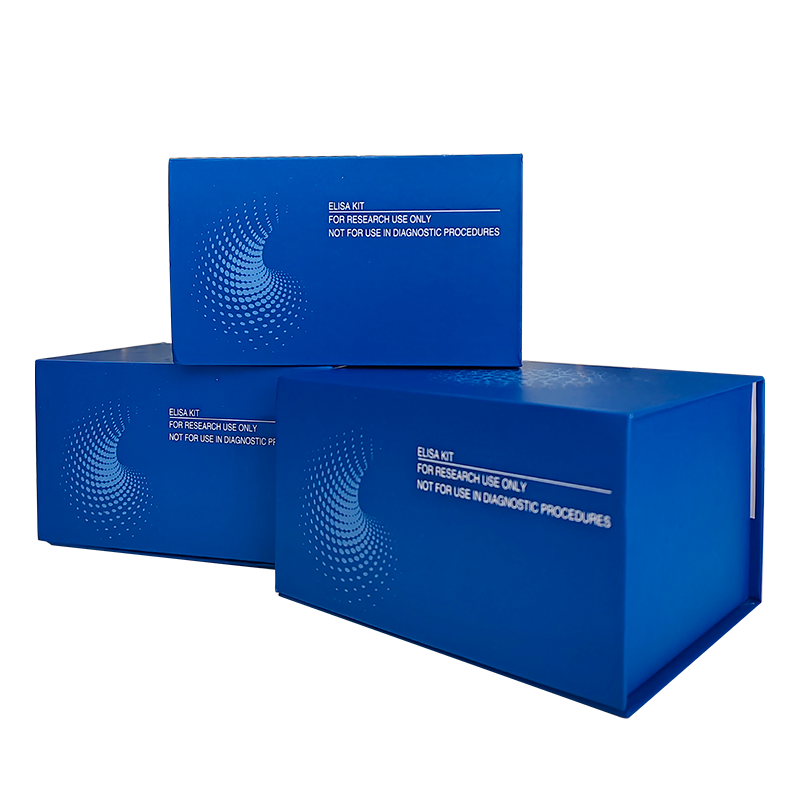 Murine IL-12 Standard TMB ELISA Development Kit,TMB ELISA kit