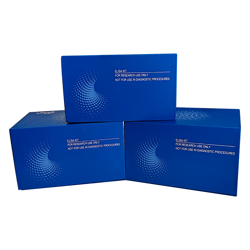 Rat GRO/KC (CXCL1) Standard ABTS ELISA Development Kit,ABTS ELISA kit