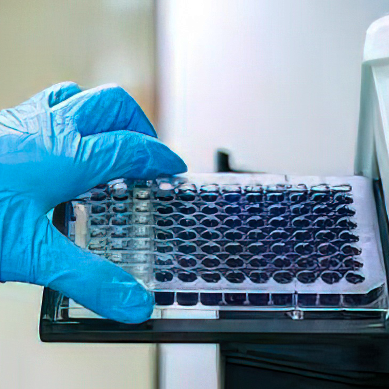 ELISA kit spiking problems and solutions