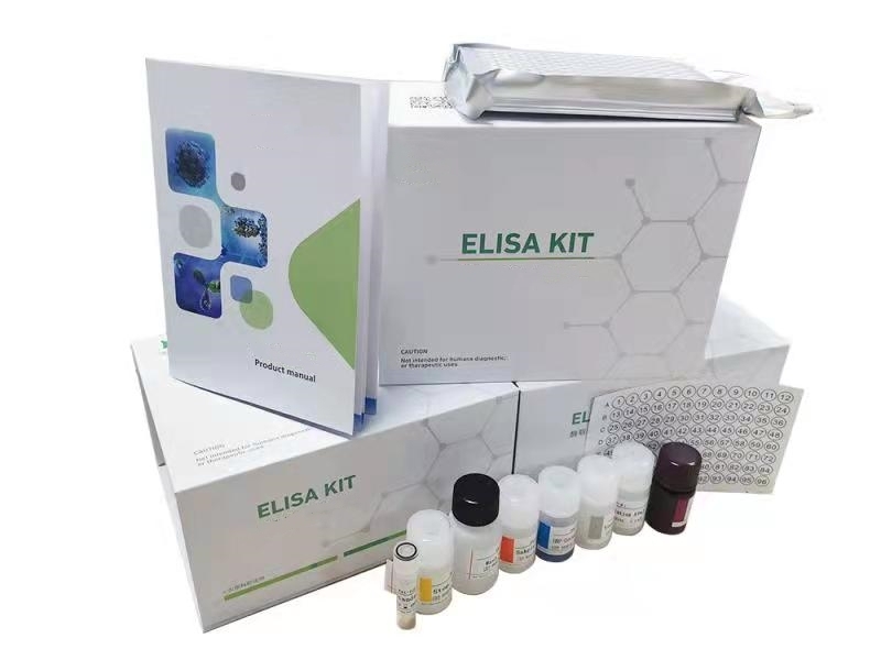 Human CXCL9(C-X-C motif chemokine 9) ELISA Kit