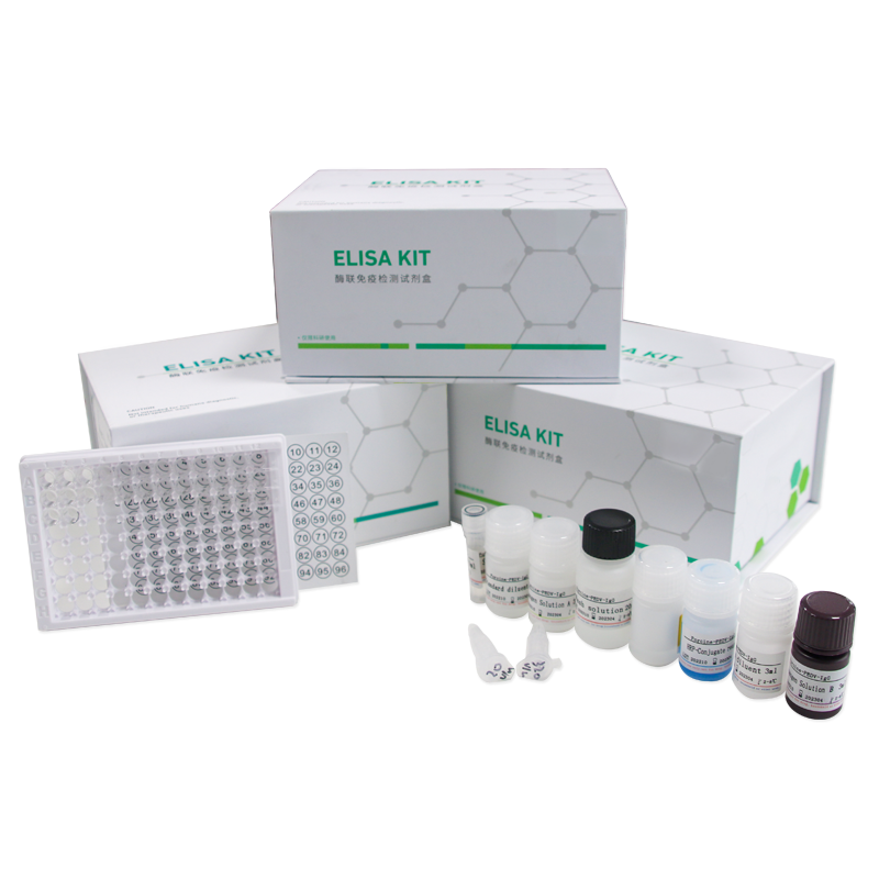 Mouse FK/CX3CL1(Fractalkine) ELISA Kit