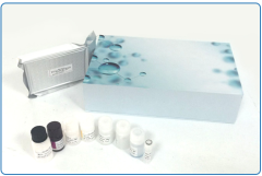 Microbial Neuraminidase (NA) ELISA Research Kit