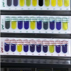API Coryne Identification reagent strip