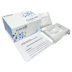 Rat NACHT,LRRandPYDdomains containing protein 3 (NLRP3) ELISA Kit