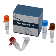 High Quality PCR Kit Column animal mitochondrial DNA extraction kit, PCR grade (column animal mitochondrial DNA out)