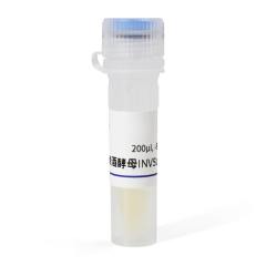 Saccharomyces cerevisiae INVSc1 Strain