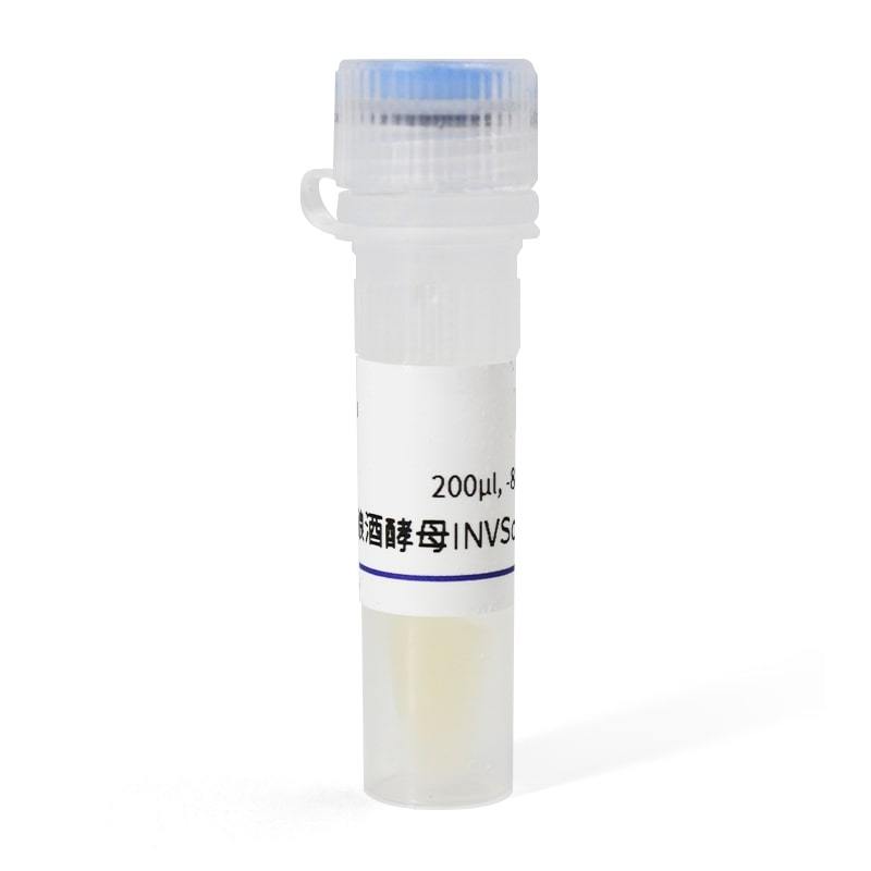 Saccharomyces cerevisiae INVSc1 Strain