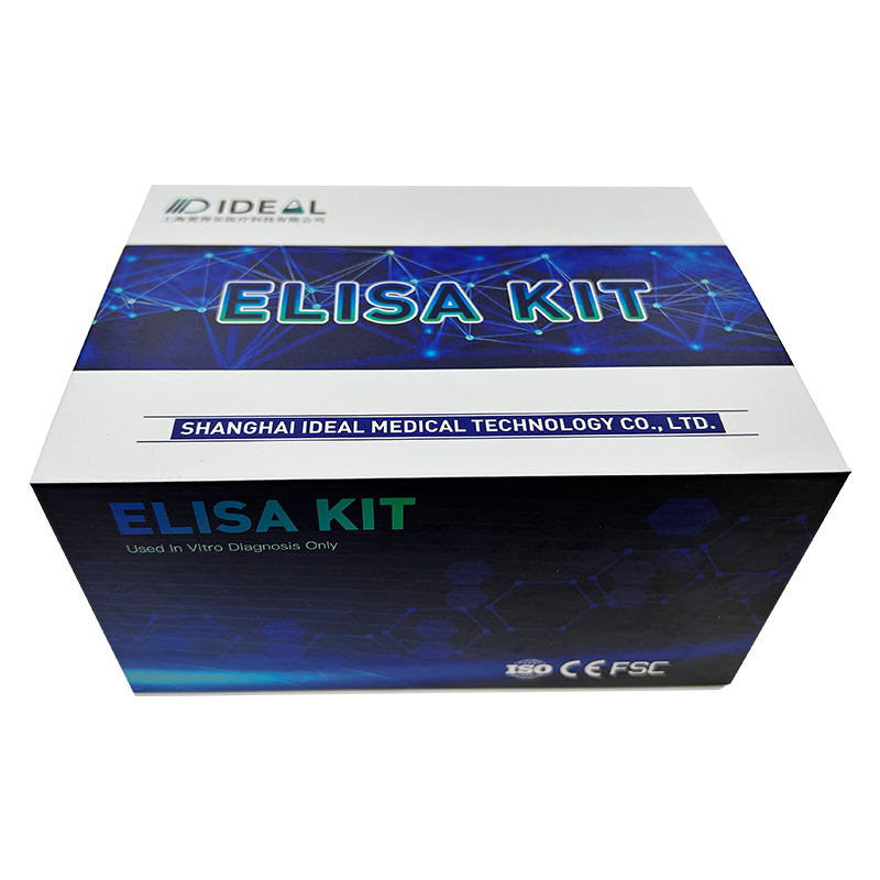 Human Lipocalin-2 ELISA Kit