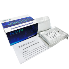 Human TNF- alpha ELISA kit