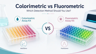 Colorimetric vs Fluorometric Assay Kits: Which Det...