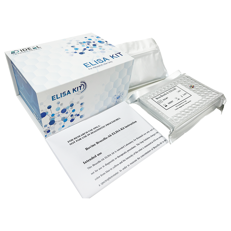 EIDERE Mouse P-ERK1/ERK2 ELISA kit