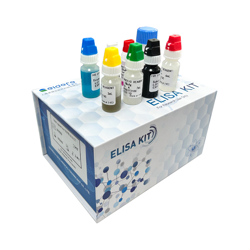 EIDERE Mouse P-ERK1/ERK2 ELISA kit