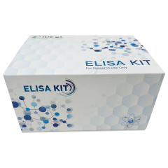 EIDERE Mouse P-ERK1/ERK2 ELISA kit