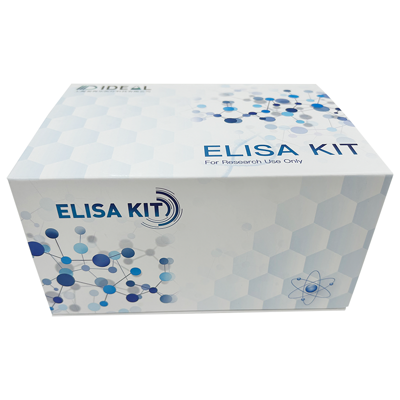 EIDERE Mouse P-ERK1/ERK2 ELISA kit