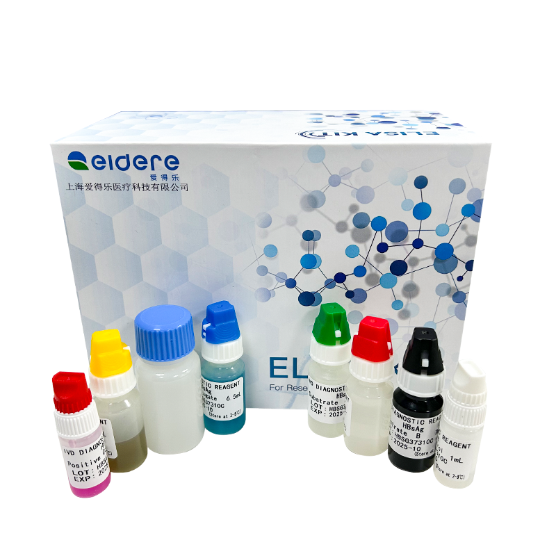 EIDERE Mouse P-ERK1/ERK2 ELISA kit