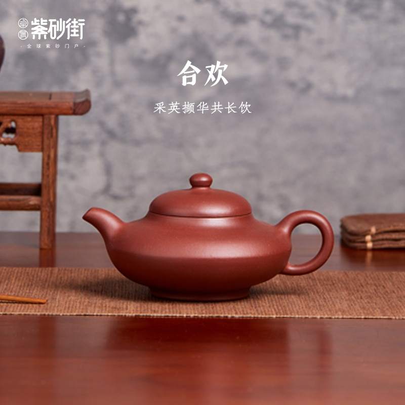 Zhuoyi purple clay teapot Shen Qiuwei handmade Yixing teapot tea household kung fu tea set set plain cement Hehuan