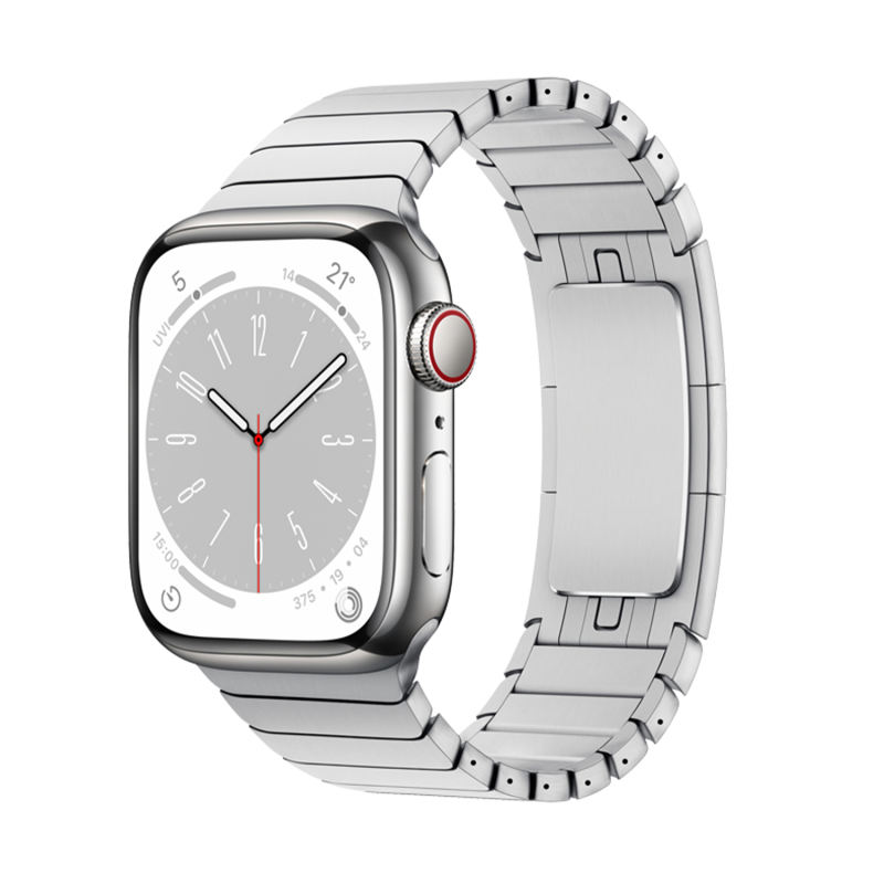 Link Stainless Steel-Silver-Apple Watch Band