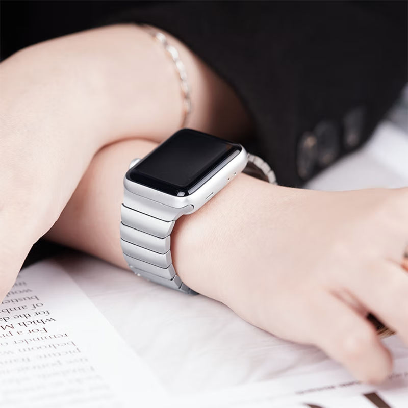 Link Stainless Steel-Silver-Apple Watch Band