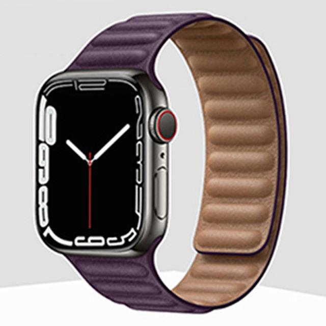 Magnetic Clasp-Dark Cherry-Apple Watch Band
