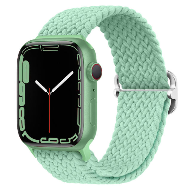 Waikiki Woven Loop-Pistachio-Apple Watch Band