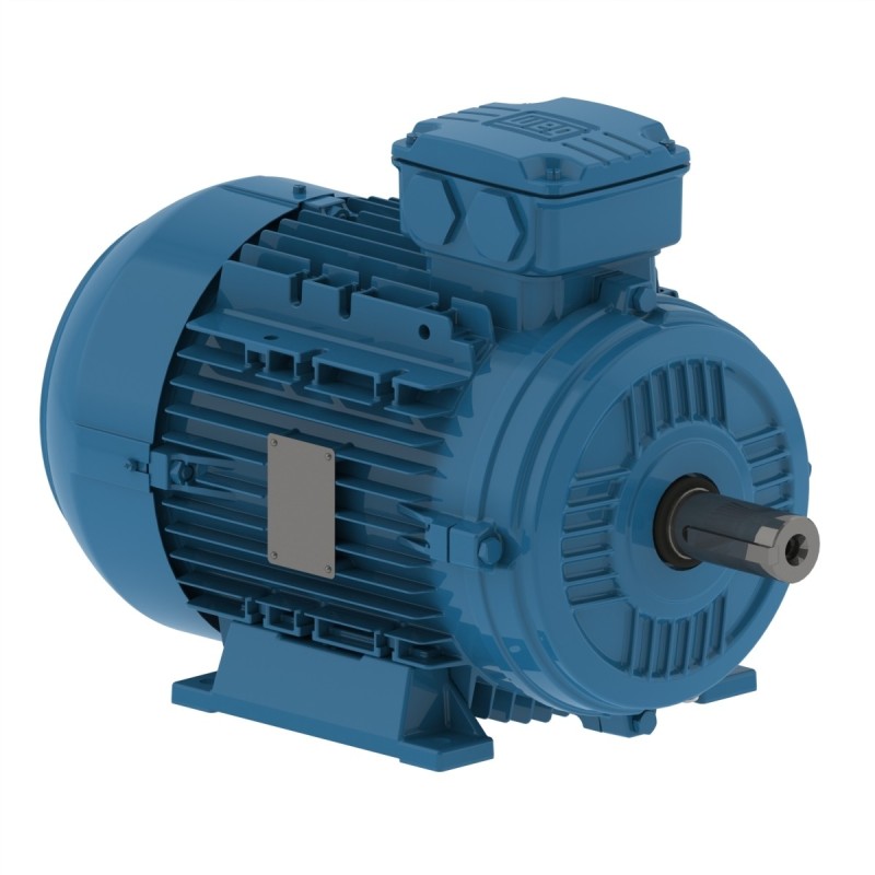 WEG IEC Motor W21 series