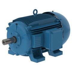 WEG IEC Motor W20 series