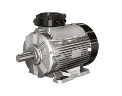 Brook Motor WE3 series