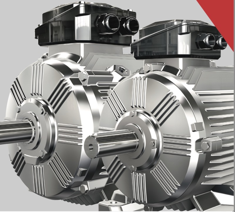 Brook Motor WE3 series