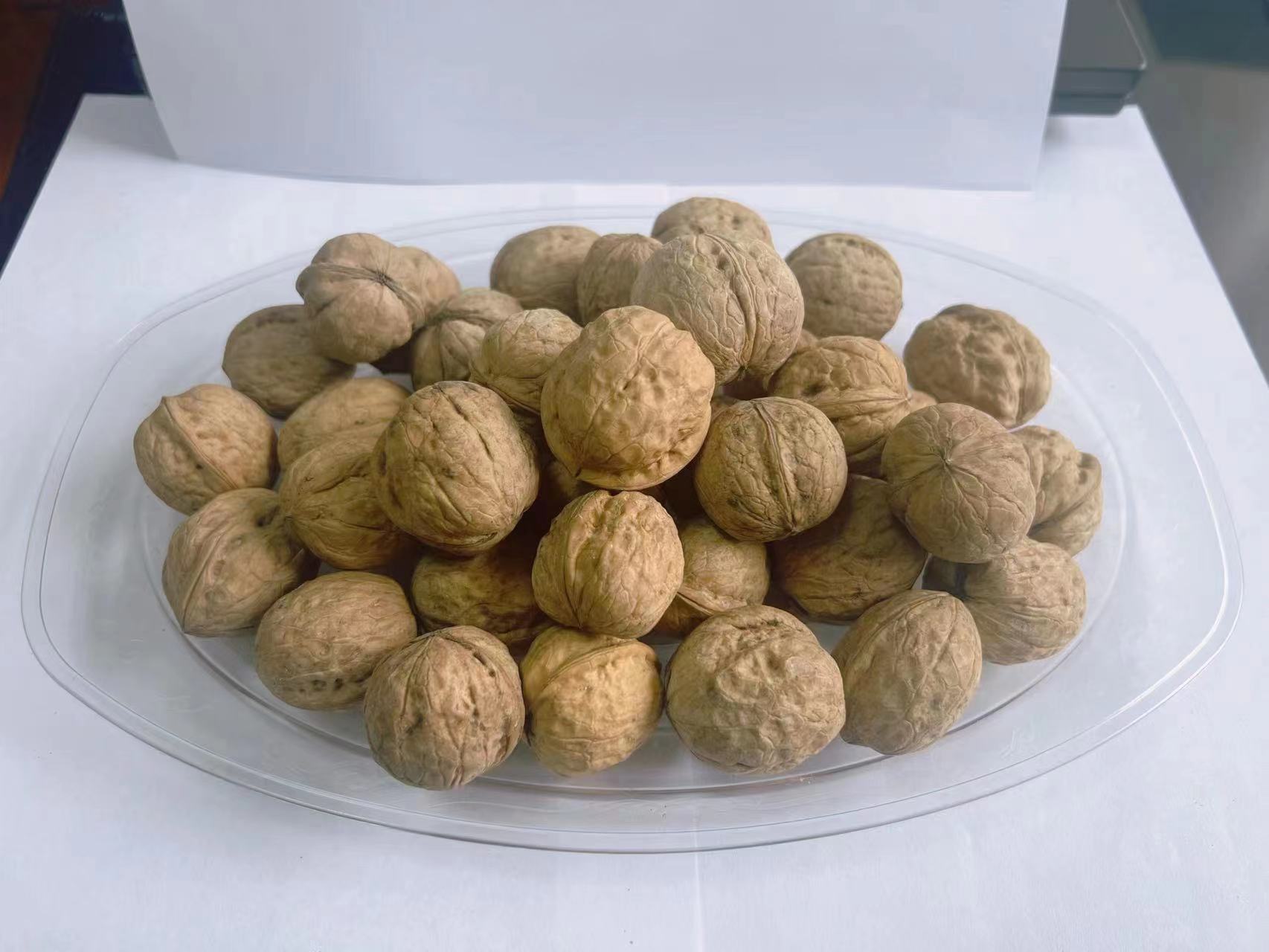 Washed & Unwashed walnut in shell Shanxi Type