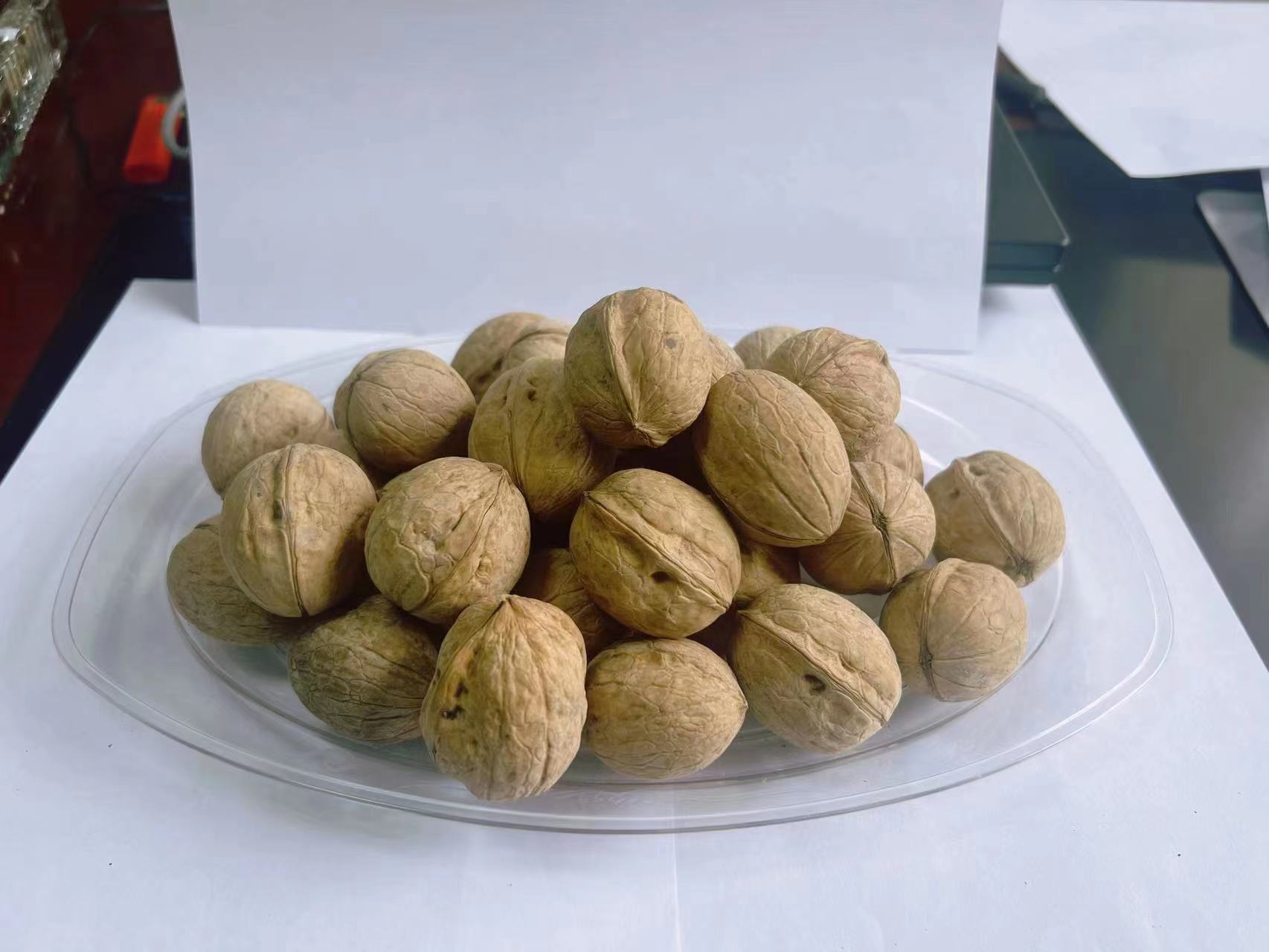 Unwashed walnut in shell Xiner Type