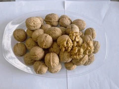 Unwashed walnut in shell 185