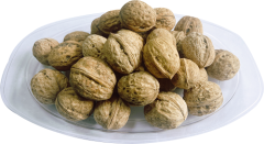 Unashed walnut in shell Xingfu Type