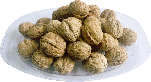 Unashed walnut in shell Xingfu Type